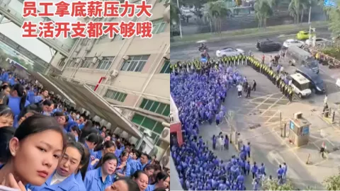 深圳易力声科技罢工